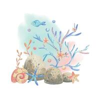 mar corais, algas, cartuchos, estrela do Mar, peixe, bolhas. aguarela ilustração mão desenhado dentro coral, turquesa e azul cores. composição isolado a partir de a fundo vetor