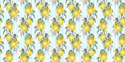 limão galhos com frutas, flores e folhas. mão desenhado aguarela desatado padronizar. impressão do tropical citrino fruta. fundo para cardápio, pacote, Cosmético, têxtil, cartões vetor