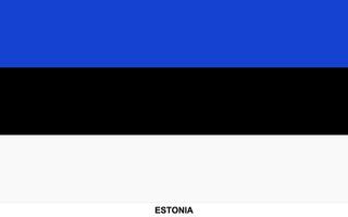 bandeira do Estônia, Estônia nacional bandeira vetor