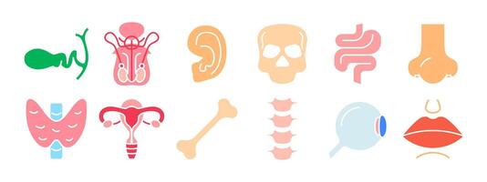 humano anatomia conjunto ícone. vesícula biliar, reprodutivo órgãos, orelha, crânio, intestino, nariz, tireoide, útero, osso, coluna, olho, lábios. medicamento, biologia. vetor