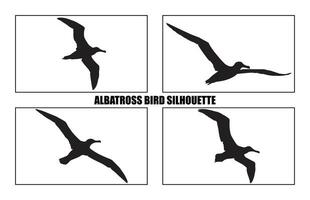 conjunto do silhuetas do pássaro albatroz, albatroz pássaro silhueta ilustração vetor