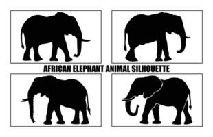 africano elefante animal silhueta definir, selvagem africano elefante silhueta conjunto vetor