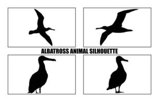 albatroz silhueta definir, albatroz silhueta Preto ilustração conjunto vetor