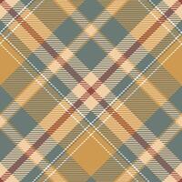 escocês tartan xadrez desatado padrão, abstrato Verifica xadrez padronizar. para camisa impressão, roupas, vestidos, toalhas de mesa, cobertores, roupa de cama, papel, colcha, tecido e de outros têxtil produtos. vetor