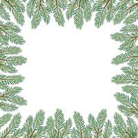 Natal árvore quadrado quadro, Armação para cumprimento cartão Parabéns em Novo ano, alegre Natal. Natal lariço, pinho sempre-verde árvore. mão desenhado plano estilo isolado em branco ilustração vetor