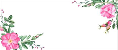 cachorro rosa bandeira com Rosa flores, bagas e galhos. aguarela horizontal quadro, fronteira. mão desenhado ilustração. perfeito Como uma rede bandeira, cartão e convite modelo, para romântico Projeto. vetor