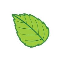 botânica verde folha ícone desenho animado do botânica verde folha em branco vetor