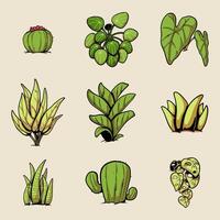 ilustração do diferente tipos do plantas vetor