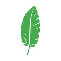verde folha. folhas ícone em isolado fundo. coleção verde folha. elementos Projeto para natural, eco, vegano, bio etiquetas vetor