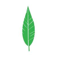 verde folha ícone. folhas ícone em isolado fundo. coleção verde folha. elementos Projeto para natural, eco, vegano, bio etiquetas vetor