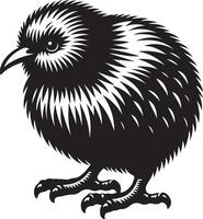 kiwi pássaro ilustração vetor