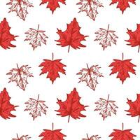 vermelho bordo folha gravado, desatado padronizar com símbolo do Canadá. mão desenhado recorrente fundo com folhas. ilustração para parabéns do Canadá dia, imprimir, papel, cartão, poster, folheto vetor