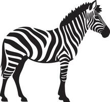 zebra silhueta ilustração branco fundo vetor