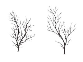 conjunto do morto árvore ilustração. galho sem folhas vetor