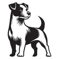 uma orgulhoso jack russell terrier cachorro face ilustração dentro Preto e branco vetor