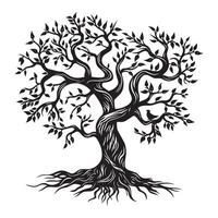 árvore do vida com videiras entrelaçando por aí Está tronco ilustração dentro Preto e branco vetor