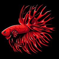 vermelho coroa rabo betta peixe mascote. esport logotipo Projeto vetor