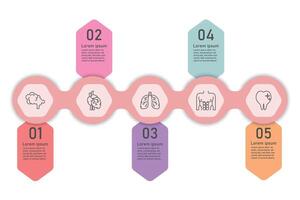 infográfico saúde Cuidado modelo para tratamento e saúde Cuidado em formação apresentação. órgão ícones e exemplos frases. moderno fluxo de trabalho diagramas. relatório plano 5 tópicos vetor