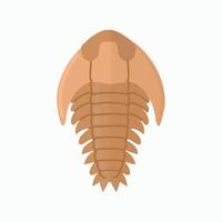 trilobita fóssil ícone clipart avatar logótipo isolado ilustração vetor