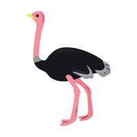 avestruz ícone clipart avatar logótipo isolado ilustração vetor