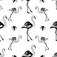 flamingo esboço Preto e branco padronizar Projeto vetor
