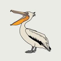 pelicano dos desenhos animados isolado no fundo branco vetor