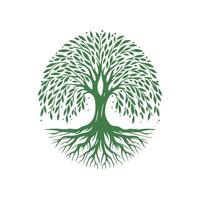 raiz árvore logotipo. raiz do a árvore logotipo símbolo ilustração projeto, carvalho árvore vintage logotipo Projeto vetor