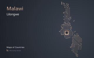 malawi mapa com uma capital do Lilongwe mostrando dentro uma microchip padronizar. e-governo. mundo países mapas. microchip Series vetor