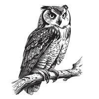 coruja esboço mão desenhado dentro rabisco ilustração de estilo vetor
