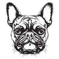francês buldogue cachorro mão desenhado esboço ilustração vetor