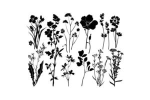 silhueta coleção do flores silvestres vetor