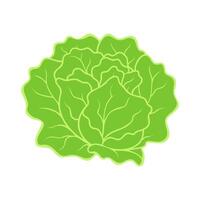 fresco verde orgânico alface, saudável refeição opção ícone isolado. vetor