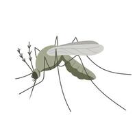 pequeno mosquito inseto. ilustração dentro plano, simples, desenho animado estilo vetor