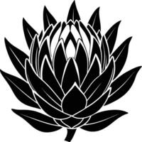 rei protea flor silhueta ilustração vetor