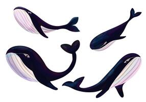 conjunto do azul baleias. isolado em branco fundo. oceano fauna. pintado à mão náutico ilustração. aguarela estilo. ilustração para cartazes, bandeiras, cartões postais, tecidos. vetor