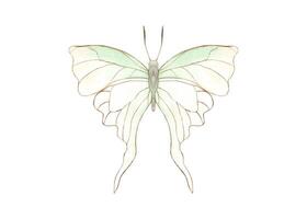 tremulando delicado branco verde borboleta dentro arte nouveau estilo. abstrato aguarela tropical inseto. topo visualizar. mão desenhado ilustração. decorativo elementos para arte deco Projeto vetor