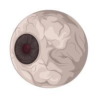 ilustração do globo ocular vetor