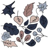 conjunto de folhas estilizadas de cor de doodle, várias folhas com contorno preto, ilustração vetorial de desenho a mão vetor