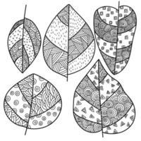 conjunto de folhas de contorno com padrão, página de coloração floral, ilustração vetorial de desenho a mão vetor