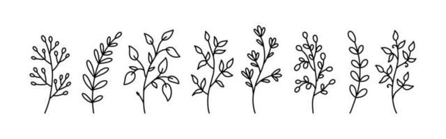 rabiscos florais botânicos isolados no fundo branco. conjunto de galhos abstratos com folhas de diferentes formas. ilustração vetorial desenhada à mão. perfeito para cartões, convites, decorações. vetor