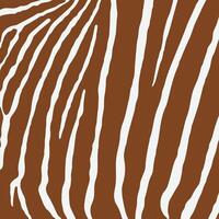 zebra impressão padronizar animal pele para impressão, corte, trabalhos manuais, adesivos, rede, cobrir, cobrir página, papel de parede e mais. vetor