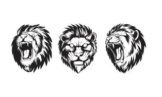 conjunto de ilustrações desenhadas à mão de uma cabeça de leão selvagem vetor
