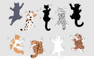 conjunto do fofa desenho animado gatos escalada uma parede com seus frente patas estendido - chita, laranja, preto, branco, smoking, e prata malhado gatos vetor