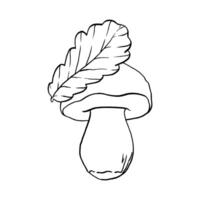 Preto linha contorno ilustração cogumelo e carvalho folha desenhado de mão, família do comestível cogumelos. simples plano gráfico Porcini grampo arte para a Projeto. linha mão desenhando animais selvagens grampo arte vetor