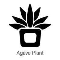 na moda agave plantar vetor