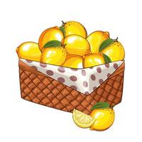 limões cesta. cesta do frutas ilustração. orgânico Projeto conceito. mão desenhado frutas coleção. cesta com frutas. Fazenda produtos. vetor