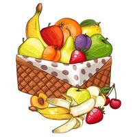 cesta do frutas ilustração. orgânico Projeto conceito. mão desenhado frutas coleção. cesta com frutas. Fazenda produtos. vetor