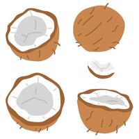 conjunto do cocos vetor