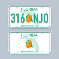 licença prato do florida. carro número placa. estoque ilustração vetor