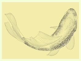 esboço do koi peixe, carpa Visão a partir de acima realista desenhado à mão gráficos, ilustração esboço rio peixe, retro gravação estilo, isolado em fundo. água fresca peixe. pescaria. vetor